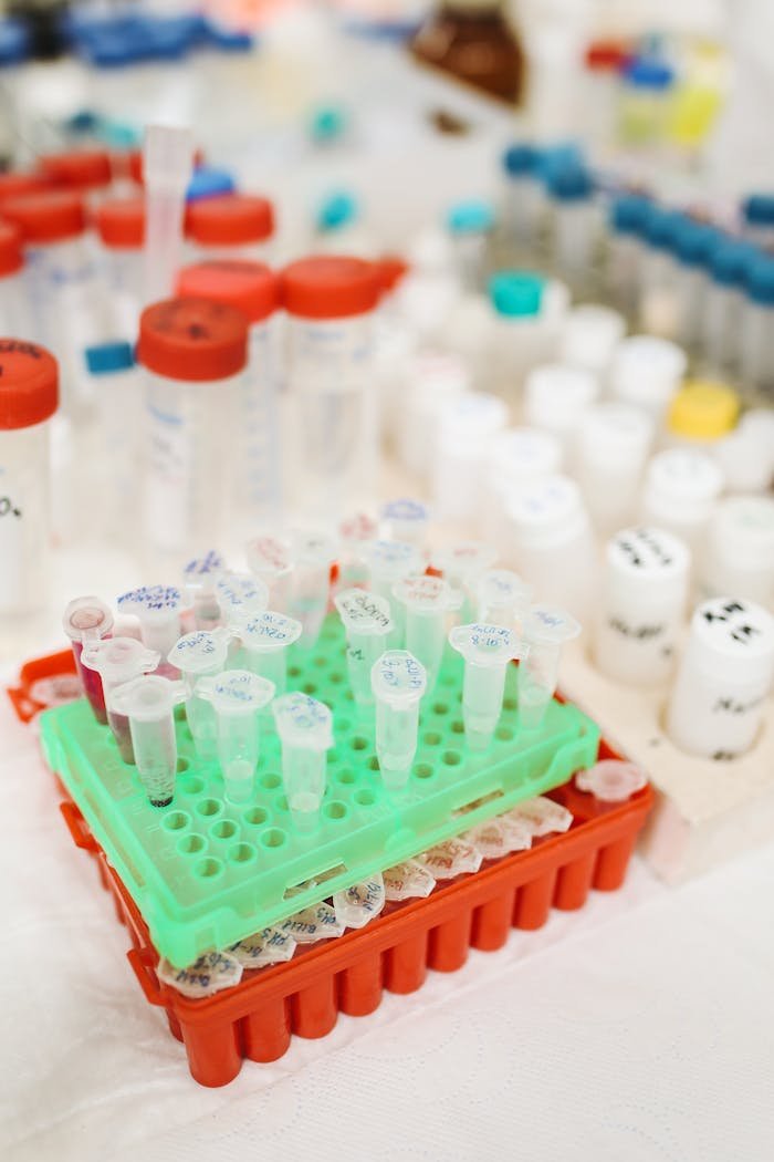 Close-up of various laboratory equipment and test tubes organized for scientific research.