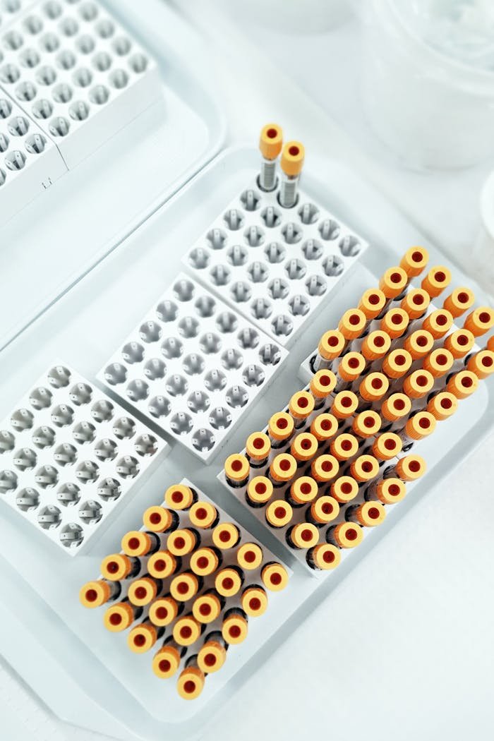 Overhead shot of test tubes in lab setting, illustrating clinical research and analysis.